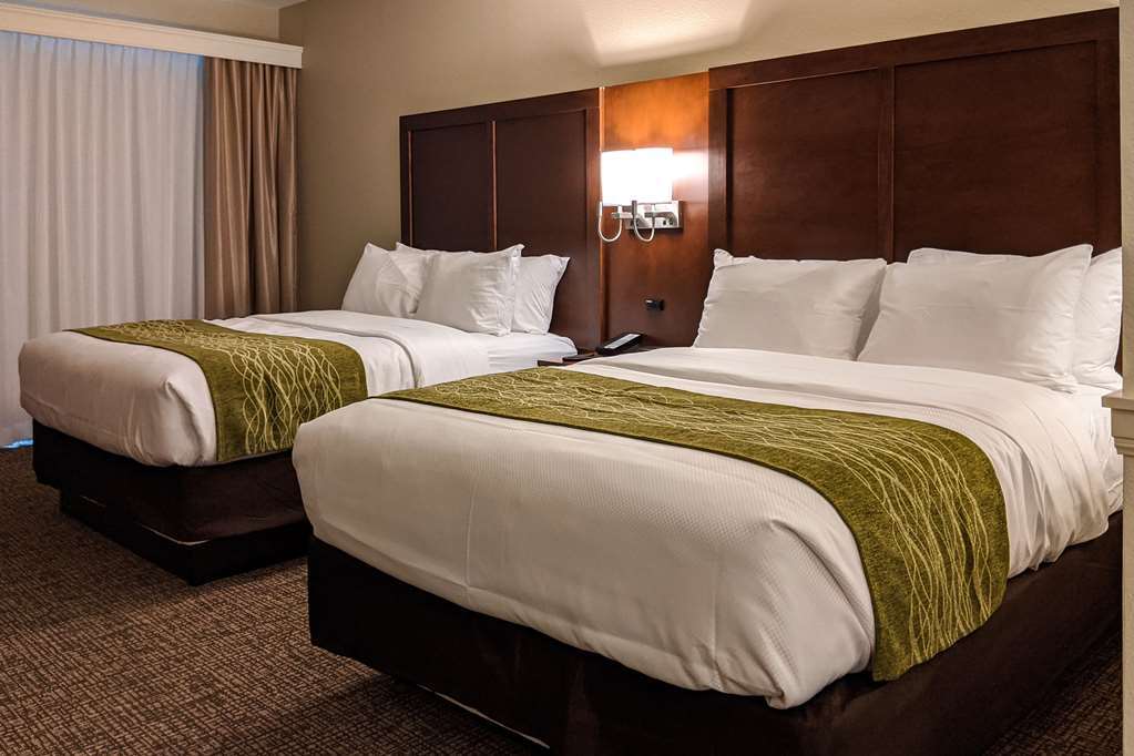 Comfort Suites San Antonio Ft Sam Houston-Sammc Area Habitación foto